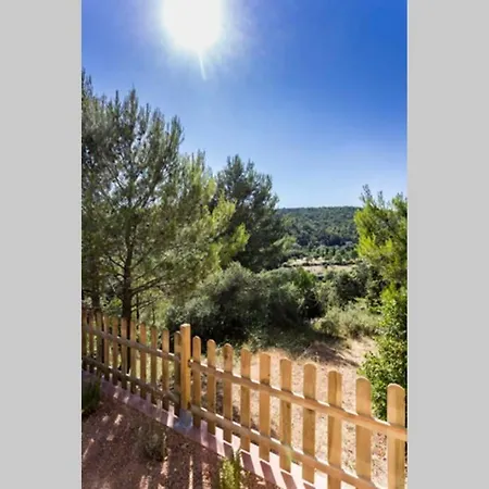 L'arbre à Soleil Aigues-Vives (Herault)
