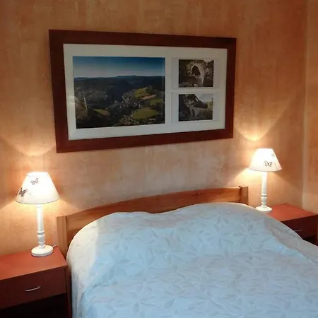 L'arbre A Soleil * エギュ・ヴィーヴ