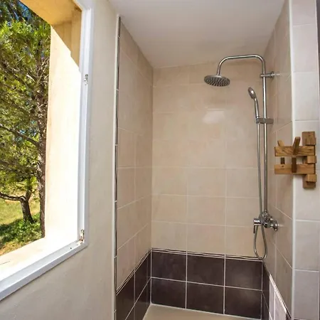 L'arbre A Soleil * エギュ・ヴィーヴ