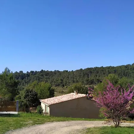 L'arbre A Soleil * Aigues-Vives (Herault)