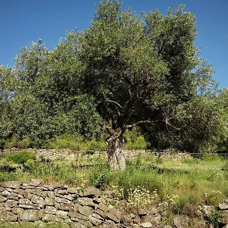 L'arbre à Soleil Hébergement de vacances Aigues-Vives (Herault)