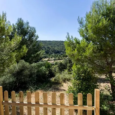 L'arbre A Soleil Aigues-Vives (Herault)