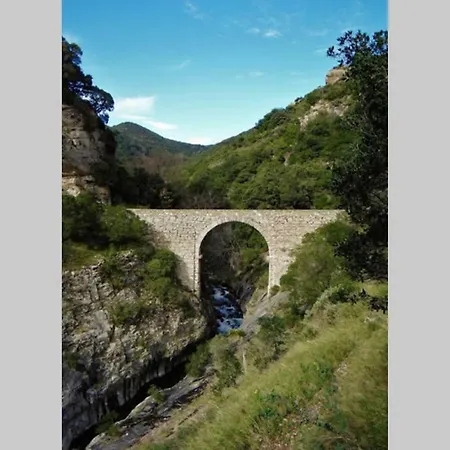 L'arbre A Soleil 別荘 *