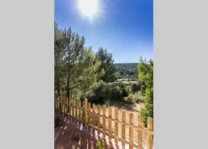 L'arbre A Soleil Aigues-Vives (Herault)