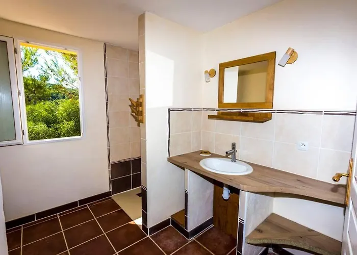 L'arbre A Soleil Aigues-Vives (Herault)