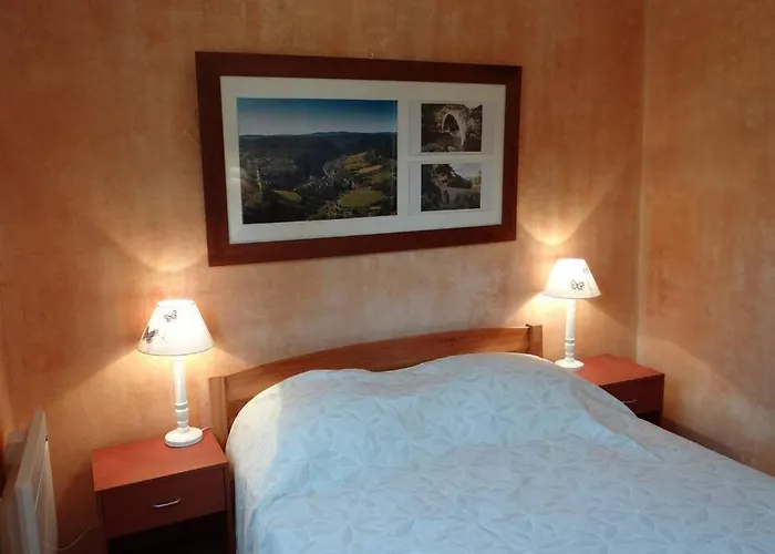 L'arbre A Soleil * Aigues-Vives (Herault)