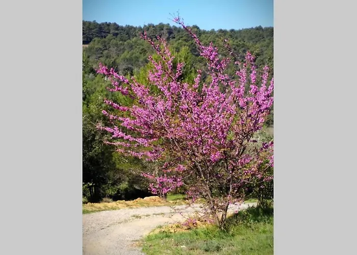 L'arbre A Soleil Σπίτι διακοπών *