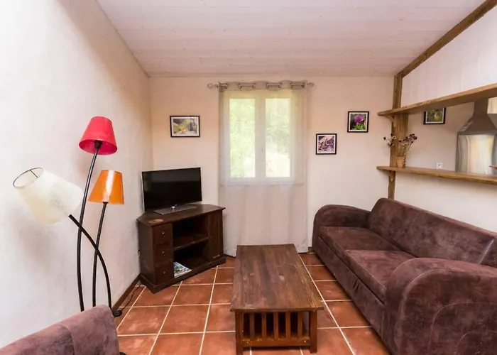 L'arbre A Soleil Aigues-Vives (Herault)