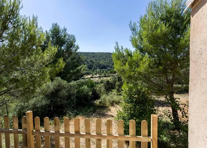L'arbre A Soleil Aigues-Vives (Herault)