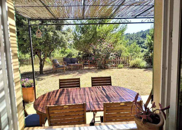 L'arbre A Soleil Aigues-Vives (Herault)